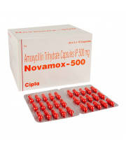 Amoxicillin (Novamox)